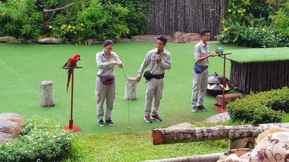 Xem xiếc thú Safari Phú Quốc