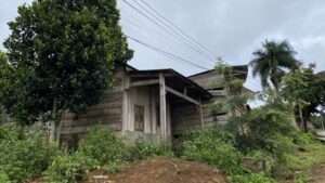 mua dat 10 nam nhung nguoi khac nhan duoc tien